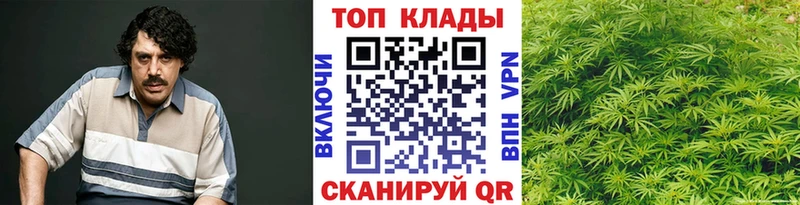 Где купить Лысково Псилоцибиновые грибы  LSD-25  ГАШ 